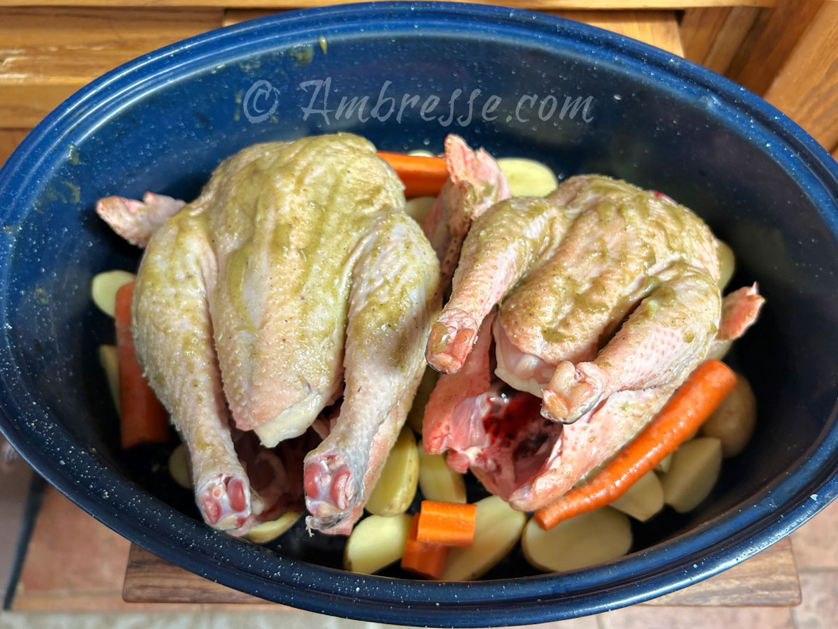 Two American Bresse chickens prepared in a roaster on a bed of potatoes and carrots.