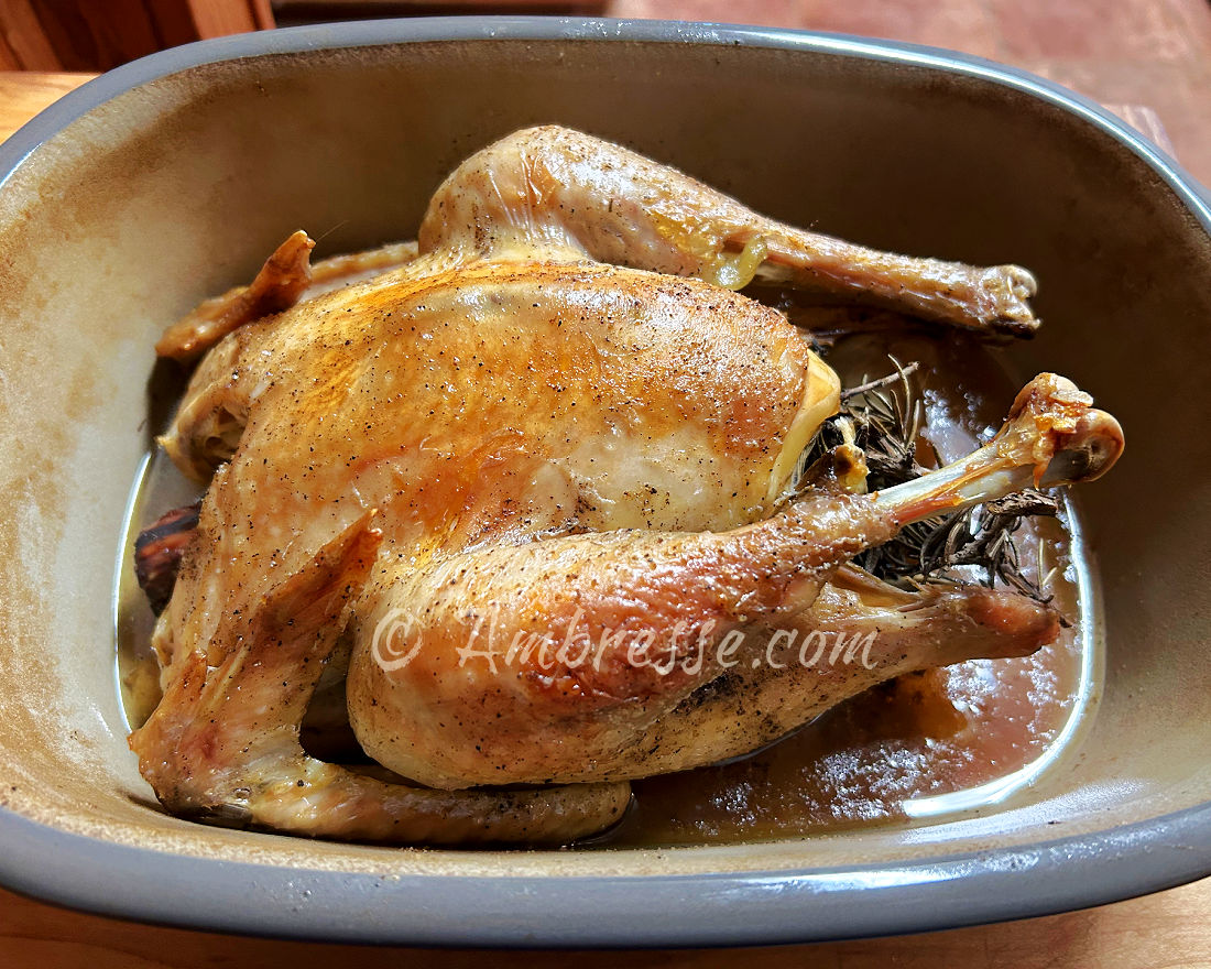 American Bresse cockerel roasted to a golden brown. At Ambresse Acres.