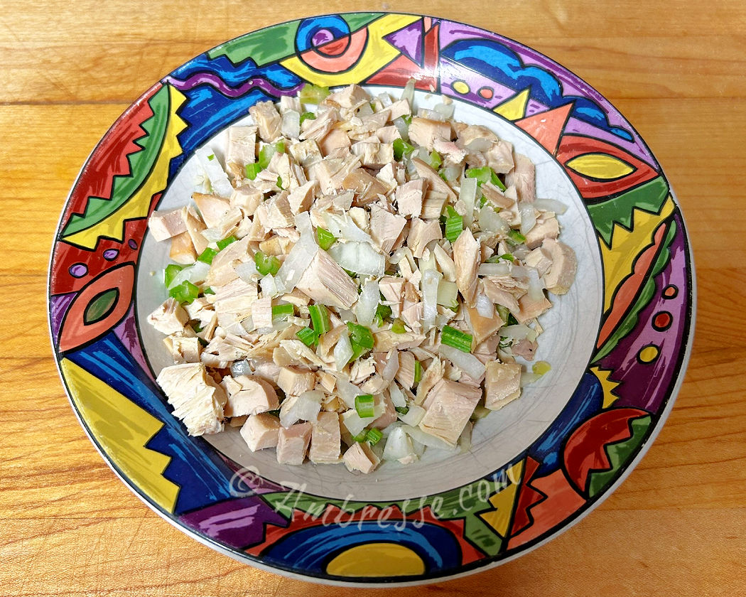 Chopped chicken salad in bowl (9847).