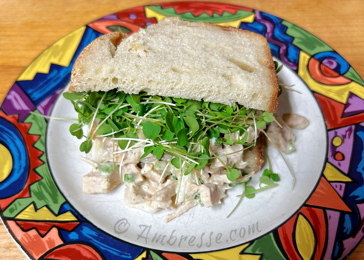 Chopped chicken salad sandwich.