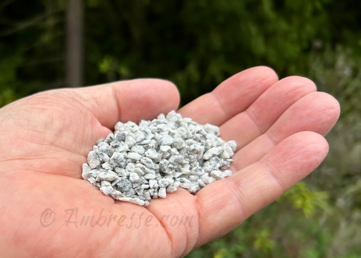 Palmful of granite grit sized for adult chickens.