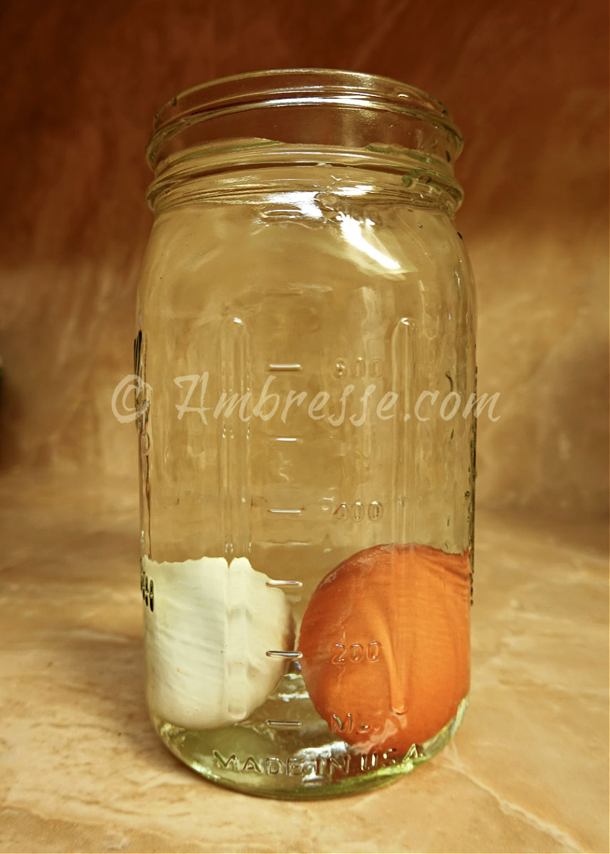 Egg float test. One egg has been water glassed, and the other is utterly fresh. Both soundly passed the egg float test by resting flatly at the bottom of the jar.